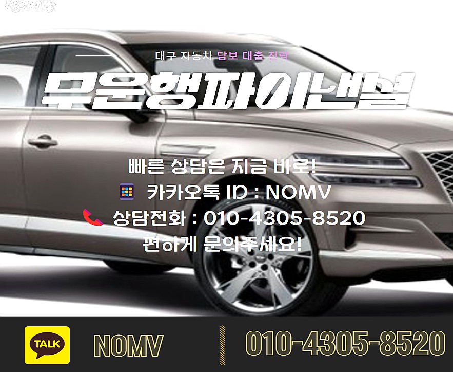 전남신안군자동차입고대출