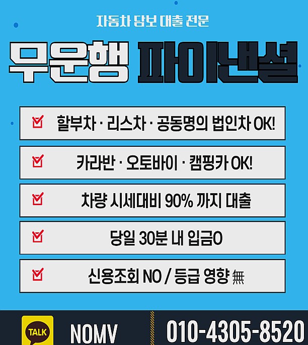 충남보령시자동차입고대출