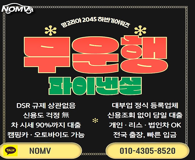 경기포천시자동차입고대출