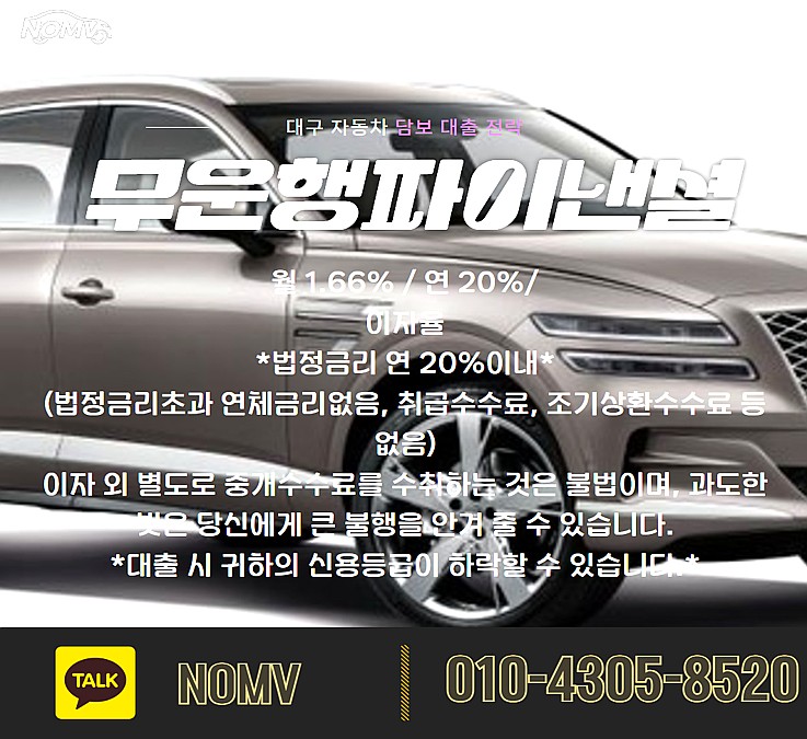 서울서초구자동차입고대출