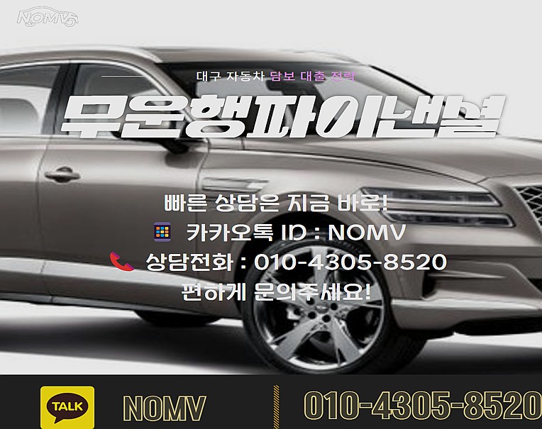 대구자동차입고대출