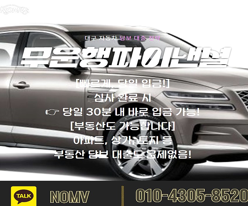 경기고양시자동차입고대출