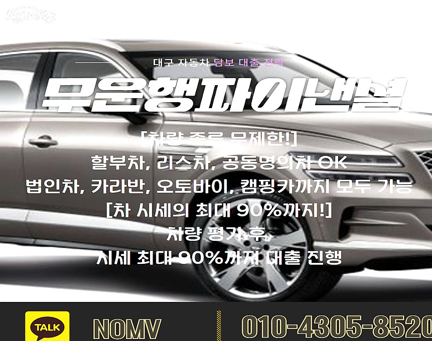 전남무안군자동차입고대출